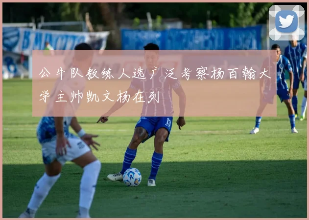 公牛队教练人选广泛考察杨百翰大学主帅凯文杨在列